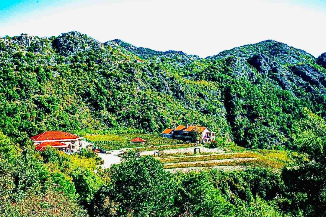 Eco Winery Lipovac Apartments Cetinje Buitenkant foto